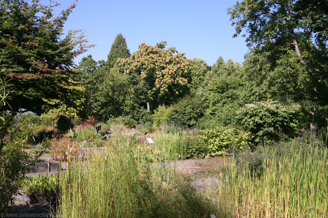 Botanischer Garten Frankfurt Pictures