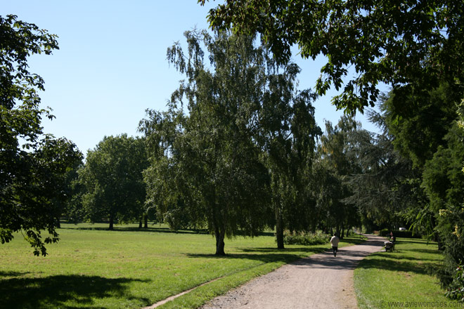 Gruneburgpark Frankfurt Photos