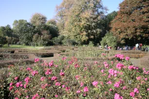 Rosarium, Vondelpark, Amsterdam