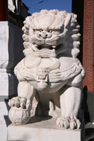 Chinese Lion in Chinatown, Antwerp