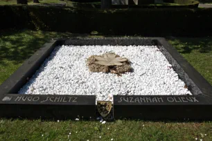 Grave of politician Hugo Schiltz, Schoonselhof, Antwerp