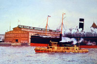 Red Star Line in its heyday