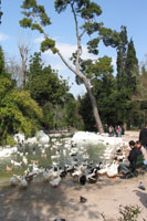 Duck Pond, National Garden, Athens