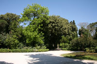 The National Garden in Athens