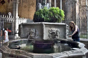 Fountain in the cloisters of the Barcelona Cathedral