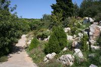 Rock Garden at the Botanical Gardens in Barcelona