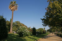 Promenade at the Parc de la Ciutadella