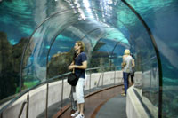 Aquarium at Port Vell