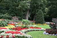 Flowerbeds in the Luiseninsel, Tiergarten in Berlin