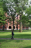 Harvard Yard, Cambridge