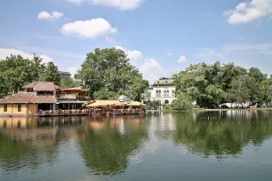 The pond of Városliget - Budapest's city park