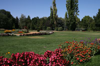Flower Garden, Margaret Island, Budapest