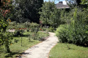 The Botanical Garden in Budapest