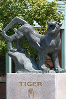 Tiger Statue, Chinatown Chicago