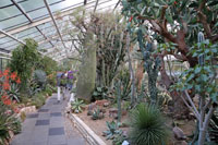 Succulents in the greenhouse of the Flora & Botanical Garden in Cologne