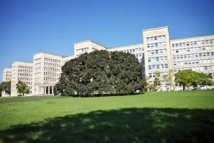 The long façade of the IG Farbenhaus in Frankfurt am Main