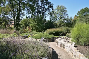 Medicinal gardens, Botanical Garden, Frankfurt am Main