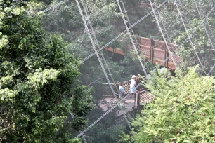 Hong Kong Park Aviary