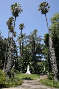 Botanical garden, Lisbon