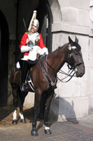 Mounted Life Guard at the Horse Guards in London