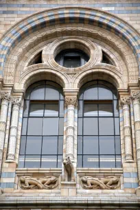 Window of the Natural History Museum, London