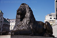 Landseer Lion, Nelson's Column, Trafalgar Square, London