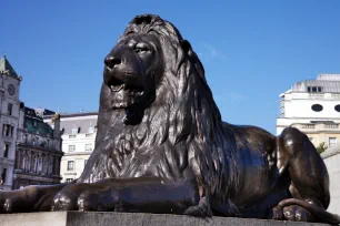 A Landseer Lion at Nelson's Column in London