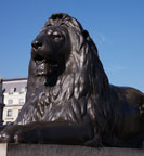 A Landseer Lion at Nelson's Column in London
