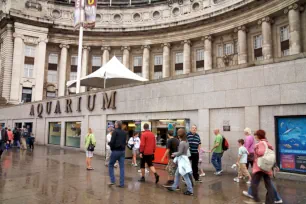 Aquarium entrance at County Hall, London