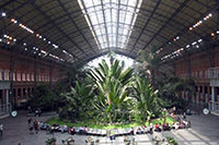 Tropical Garden, Atocha Station