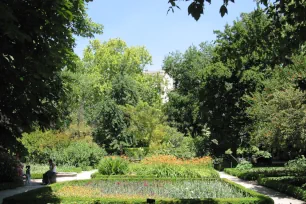 Flower beds in the Royal Botanical Garden, Madrid