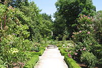 Botanical Garden, Madrid