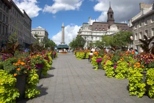 Place Jacques-Cartier, Montreal