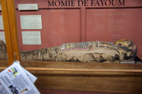 Egyptian mummy, Redpath Museum