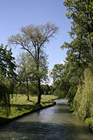 Isar River in the Englischer Garten, Munich