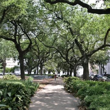 Lafayette Square, New Orleans