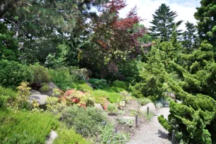 Rock Garden, Japanese garden, Brooklyn Botanic Garden, New York City