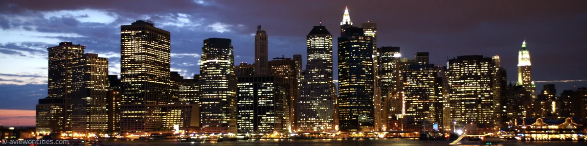 View of Lower Manhattan from Brooklyn Heights Promenade at night