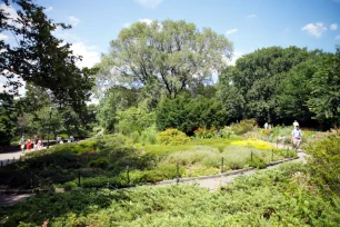 The Heather Garden in Fort Tryon Park, New York City