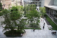 Sculpture Garden, MoMA, New York City