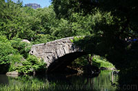 Small Bridge at the Pond in Central park, New York City
