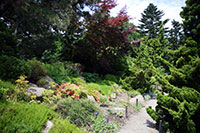 Rock Garden, Brooklyn Botanic Garden