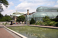 Palm House and Lily Pool, Brooklyn Botanic Garden