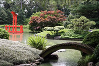 Japanese Hill-and-Pond garden, Brooklyn Botanic Garden, New York City 