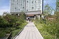 The High Line, Manhattan, New York