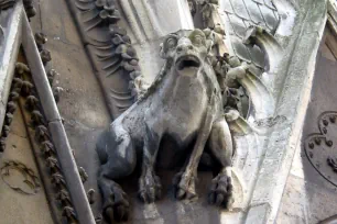 Gargoyle, Notre Dame Cathedral, Paris