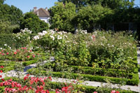 Rose Garden, Parc de Bercy