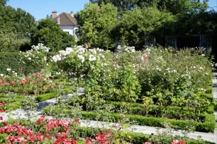 Rose Garden, Parc de Bercy, Paris
