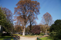 Jardins des Champs-Élysées