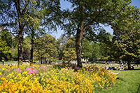 Flowerbed, Parc Monceau